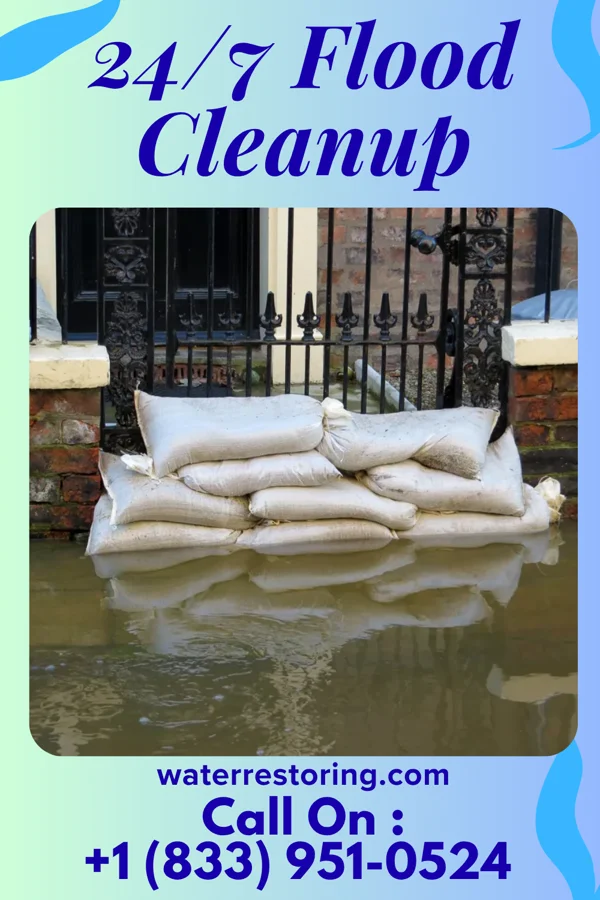 24/7 Flood Cleanup in Tamora, NE
