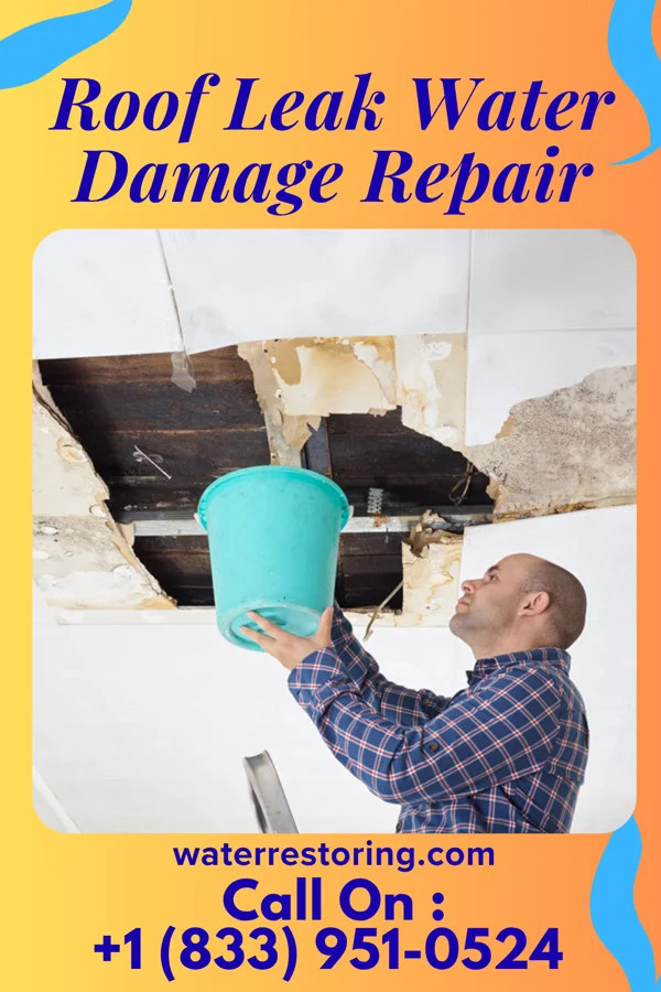 Roof Leak Water Damage Repair in Tamora, NE